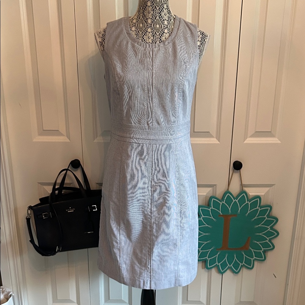 Classic Cleo Sleeveless Navy and white pinstriped Dress